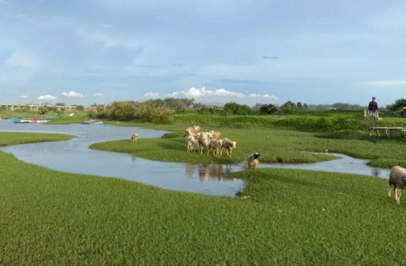 Muara Pandansimo Bantul. (Facebook/Fransius K)