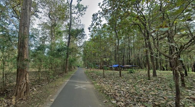 Hutan jati di Desa Watusomo masih eksis hingga sekarang. (Google Street View)