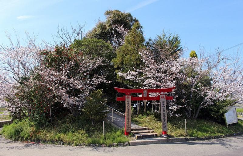 Gunung Benten saat musim semi. (funfun-tokushima.jp.e.agf.hp.transer.com)