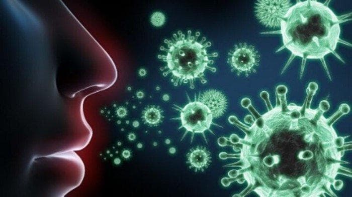 Ilustrasi hidden carrier (microbiozindia.com)