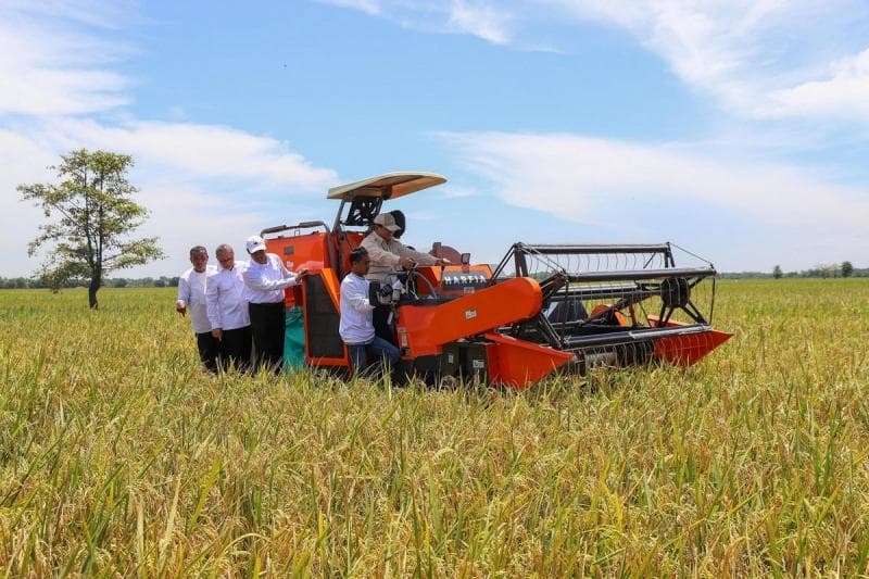 Menteri Koordinator Bidang Pangan, Menteri Pertanian (Mentan) Andi Amran Sulaiman, dan Presiden Prabowo Subianto dalam sebuah kesempatan di persawahan. (Humas Kementan)