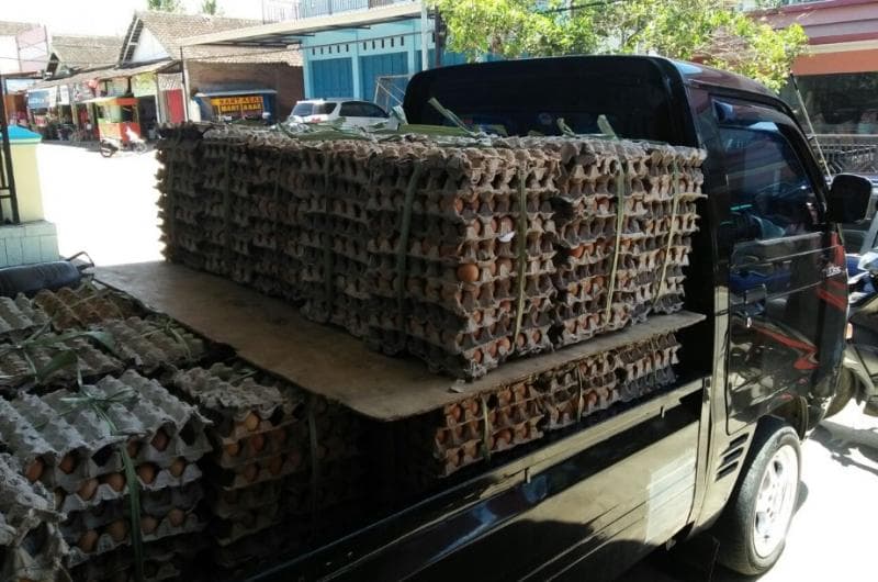 Kini, sulit bagi peternak telur mendistribusikan telur ke berbagai tempat. (X/priyambudi_heru)