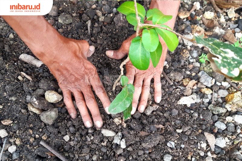 Berkebun di rumah biar lebih produktif. (Inibaru.id/ Julia Dewi Krismayani)<br>