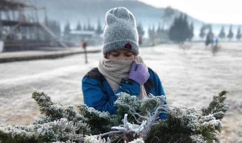 Embun upas biasanya muncul di kawasan sekitar Candi Arjuna, Dieng. (Sigijateng)