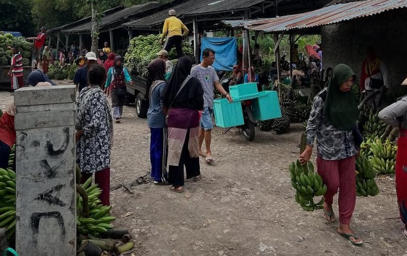 Pasar Pisang Juwangi, Surga Pisang dari Boyolali