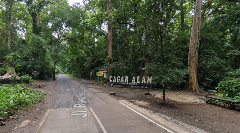 Cagar Alam Pagerwunung yang masih asri di Kabupaten Kendal. (Google Street View)