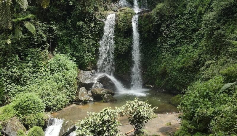 Air Terjun Grenjengan Kembar masih tersembunyi di kawasan hutan di Kabupaten Magelang. (Noveri Tahalea)