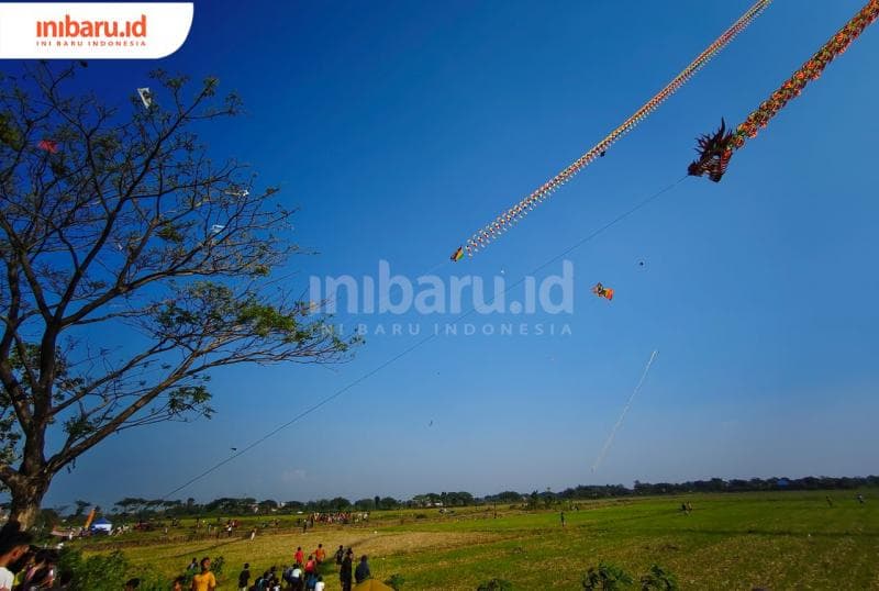 Beberapa layang-layang naga yang diterbangkan saat festival layang-layang (Inibaru.Id/Alfia Ainun Nikmah)