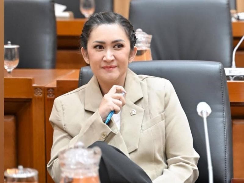 Resmi Dinonaktifkan Nasdem, Apa 'Dosa' Nafa Urbach dan Ahmad Sahroni sebagai Anggota DPR?