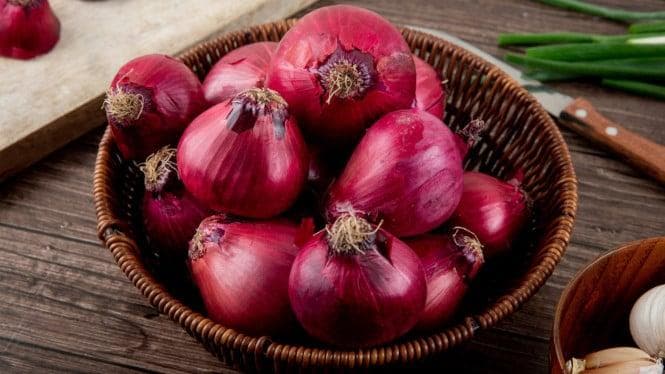 Dari Dapur ke Teknologi Hijau; Kulit Bawang Merah Lindungi Panel Surya