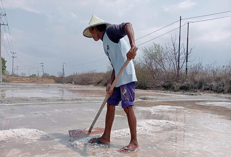 Harga jual garam dari petani sangat rendah. (CBFM Radio/Habibi Athaya)