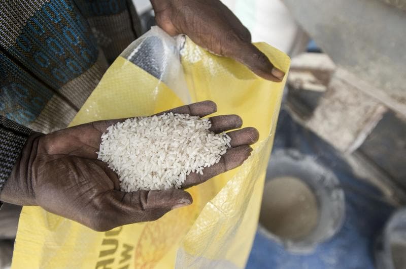 Tampilan beras fortifikasi yang nggak jauh berbeda dengan beras pada umumnya. (Ffinetwork)