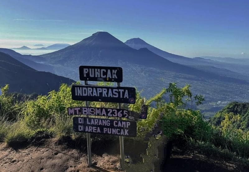Puncak Indraprasta, salah satu puncak di Gunung Bismo. (Portergunungsumbing)