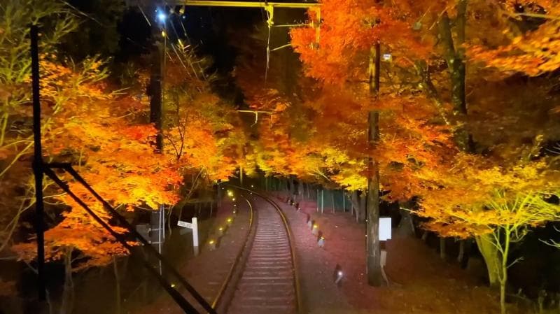 Pemandangan Momiji Tunnel pada malam hari yang menawan dari dalam kereta. (Mitemil)