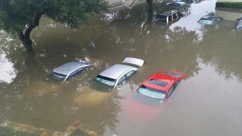 Jangan Mudah Tertipu! Ini Ciri-ciri Mobil Bekas Terendam Banjir