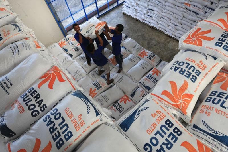 Puluhan Ribu Ton Beras di Gudang Bulog Alami Penurunan Kualitas