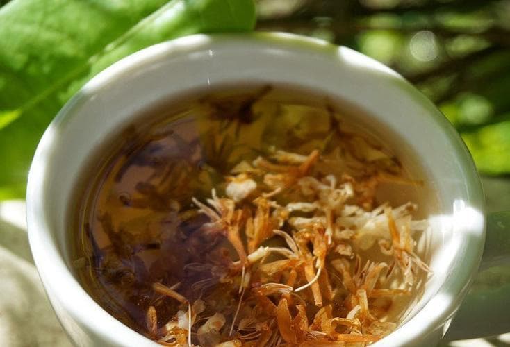 Teh bunga kopi yang bisa dicicipi di Kebun Agrowisata Jollong Pati. (Ottencoffee)