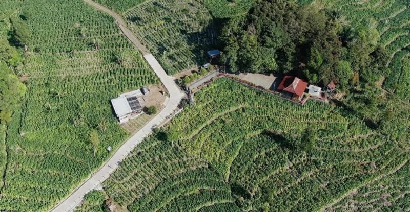 Dikelilingi ladang, pemandangan alam di Tuk Budoyo cukup menarik. (Gisella Uci)