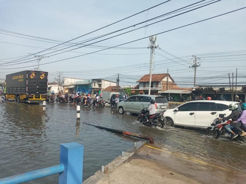 Banjir Demak 2024. (Nasional News)