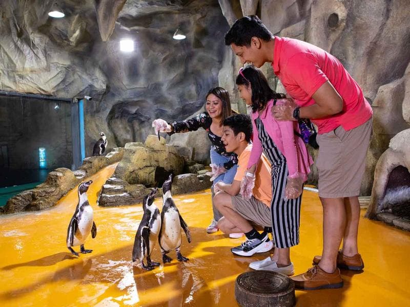 Salah satu wahana favorit di Ancol. (Ancol Taman Impian)