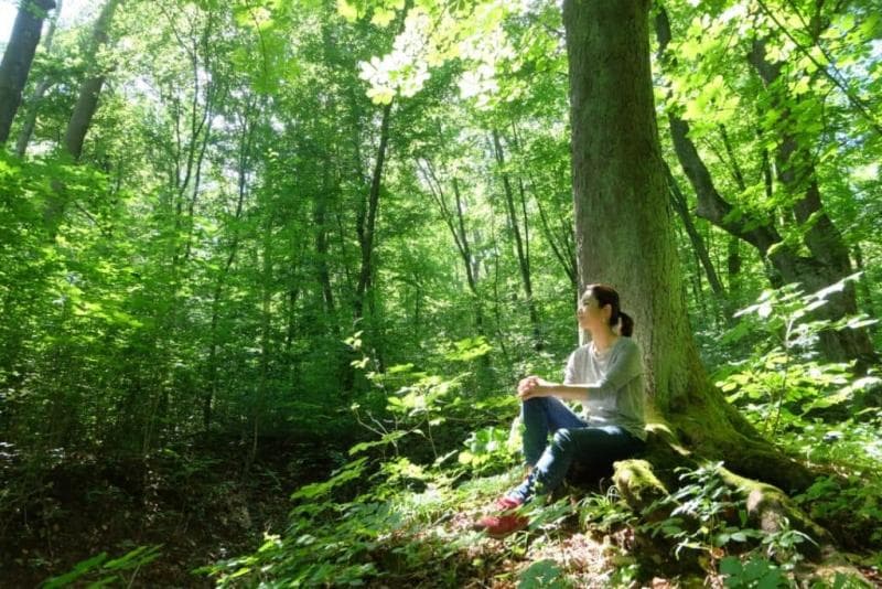 Salah satu produk wellness tourism di Gunungkidul adalah forest bathing. (via Ikedaspa)