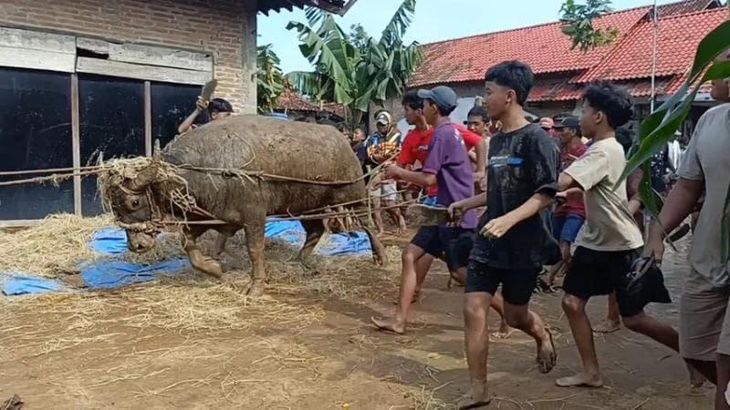 Tradisi Prasah disebut-sebut eksis sejak 1900-an. (Betanews/Umi Nurfaizah)