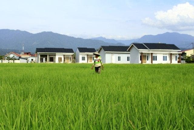 Alih fungsi sawah mengancam ketahanan pangan. (Langkan)