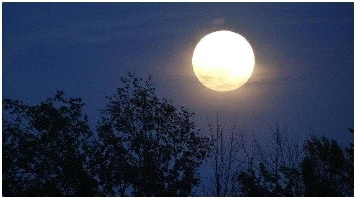 Bulan mini nggak menambah cahaya bulan. (Treehugger)&nbsp;