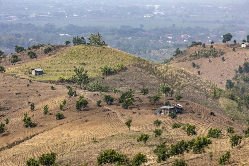 Como menegaskan bahwa program penanaman di Patiayam bukan aksi sesaat. (Mojok/Eko Susanto)