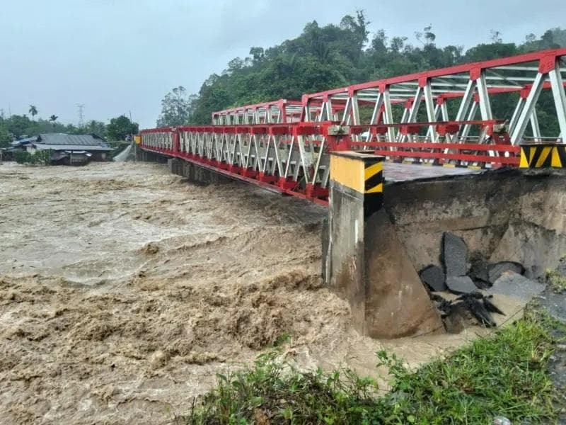 Walhi menuding, banjir dan longsor yang melanda Sumut merupakan dampak dari deforestasi yang dilakukan oleh sejumlah korporasi. (BNPB)&nbsp;