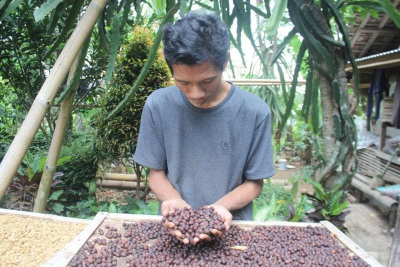 Pengelolaan Tahura nantinya melibatkan masyarakat. (Kudus Tourism)