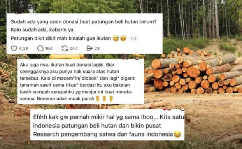 Seruan patungan membeli hutan menggema di media sosial pascabencana di Sumatra. (Pandemictalks)