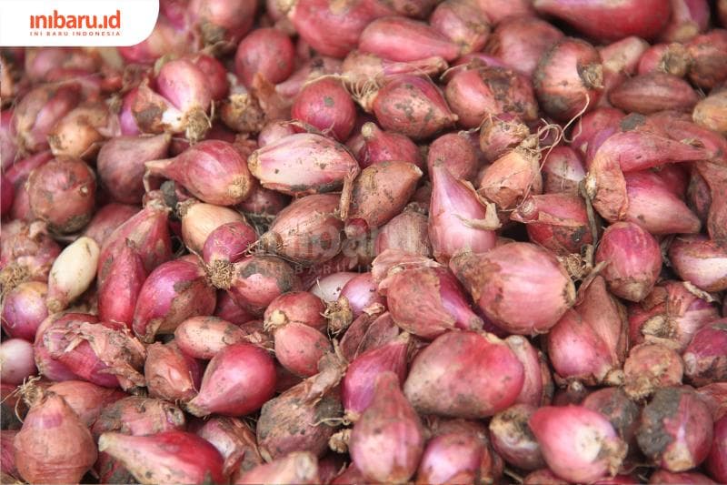 Ingin Menangis Saat Mengiris Bawang, Kok Bisa Ya?