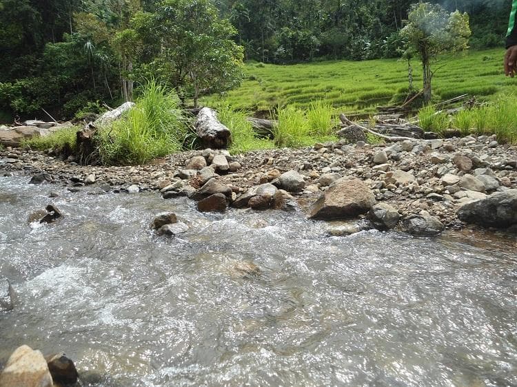 Antara Banyu Panguripan dan Tempat Sampah Raksasa: Masihkah Orang Jawa Memuliakan Sungai?