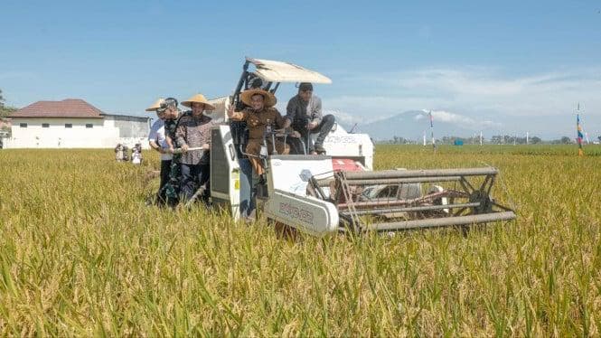 Jawa Tengah Sukses Lampaui Target Pangan 2025, Siap Jadi Tumpuan Nasional Tahun Depan