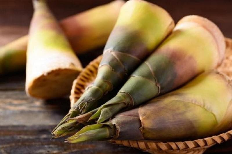 Rebung, Calon 'Superfood' Dunia yang Ampuh Lawan Diabetes