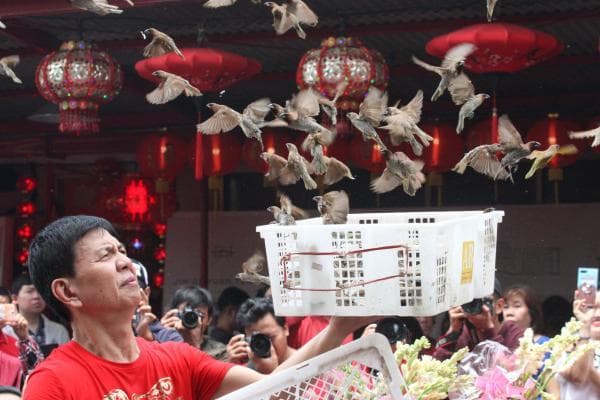 Fang Sheng: Tradisi Melepas Hewan saat Imlek yang Bikin Hati Tenang dan Rezeki Lapang!