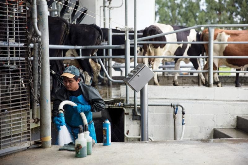 Kangen Suasana Ramadan Indonesia, Begini Cerita WNI yang Berpuasa di Luar Negeri