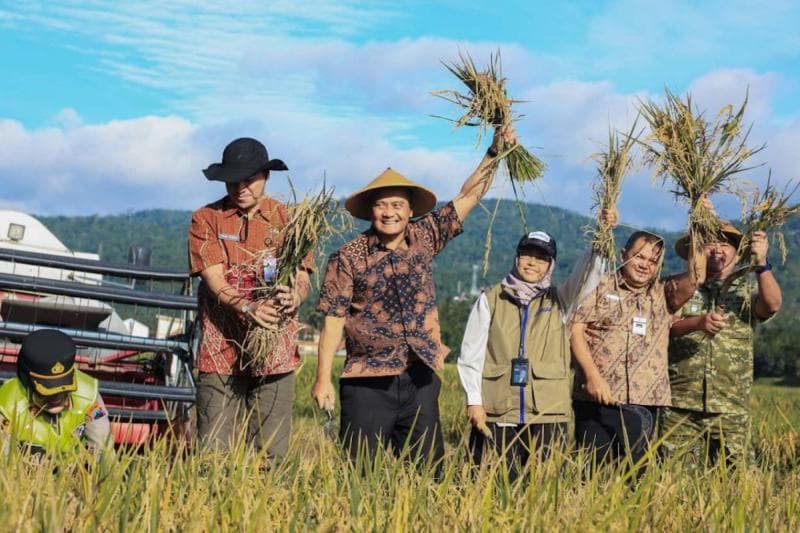 Pakai Sistem Sepur, Jateng Mulai Panen Raya 3,35 Juta Ton Padi