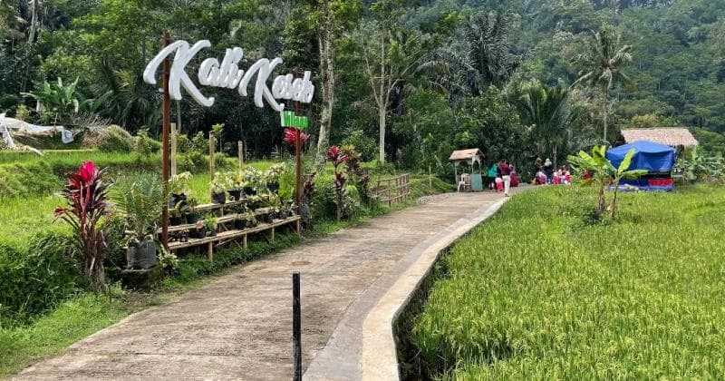 Wisata Alam Kalikesek Semakin Ramai, Warga Desa Sriwulan Dapat THR
