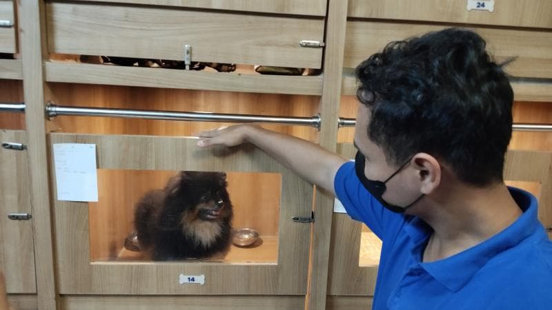 Okupansi 'Hotel Anabul' Pet Central Semarang Full selama Periode Mudik