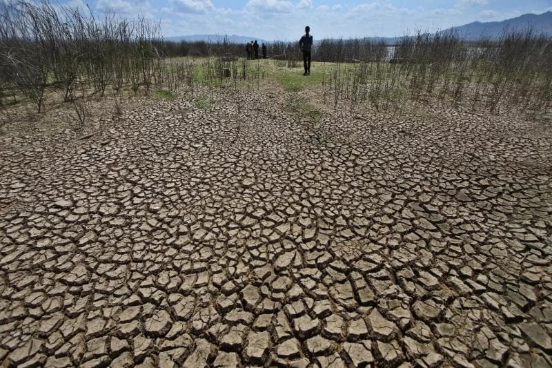 Persiapan Menghadapi Fenomena Alam Godzilla El Nino pada Musim Kemarau Nanti, Apa Saja?