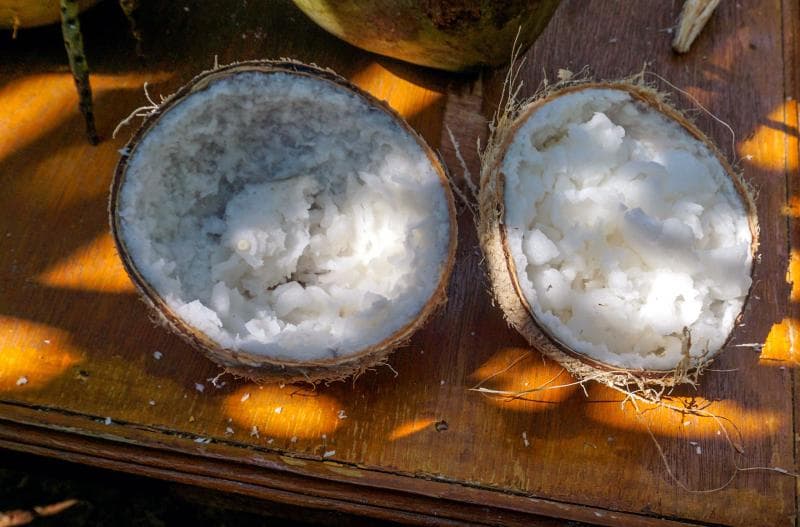 Kelapa Kopyor Mahal Bukan Tanpa Alasan, Ini Fakta Menariknya