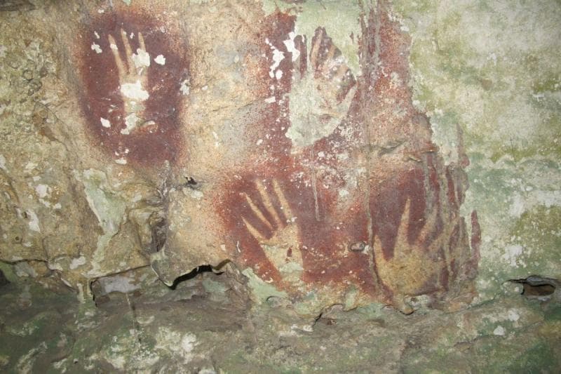 Berusia 67.800 Tahun, Cap Tangan di Pulau Muna Pecahkan Rekor Dunia