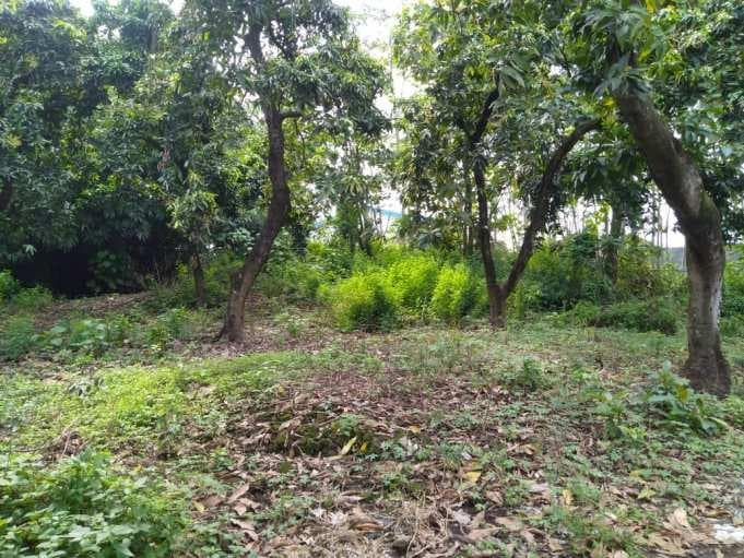 Barikan Sitinggil, Cara Warga Kriyan Merawat Jejak Ratu Kalinyamat Lewat Doa dan Kebersamaan