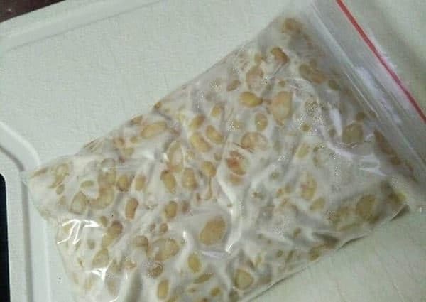 Simpan tempe di dalam plastik biar lebih tahan lama. (Bacaterus.com)