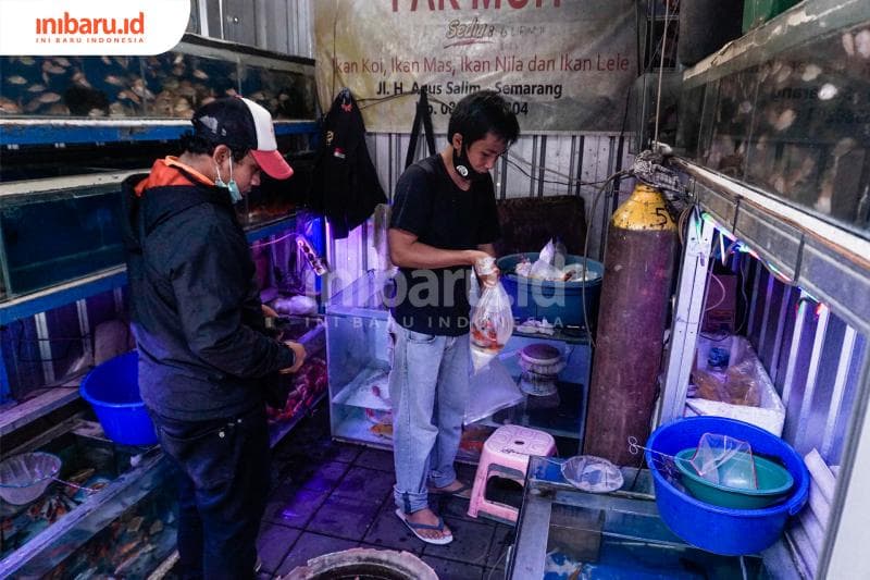 Seorang pedagang sedang membungkus ikan koi yang dibeli pelanggan. Di Pasar Ikan Hias Johar, kamu bisa berburu ikan hias seperti ikan koi dengan harga cukup miring. (Inibaru.id/ Audrian F)<br>