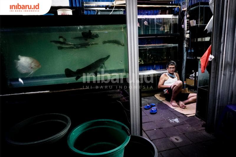 Banyak juga ikan-ikan unik. (Inibaru.id/ Audrian F)<br>