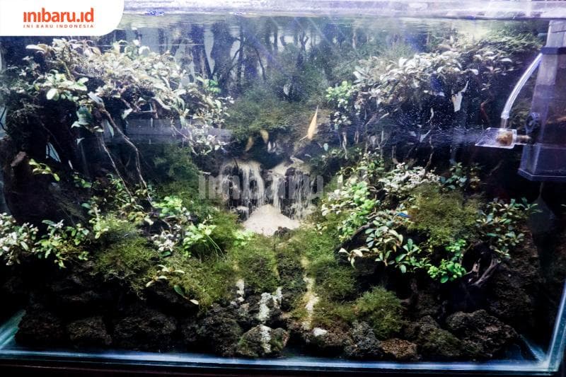 Aquascape yang sudah komplit bisa dihargai sampai Rp 15 juta. (Inibaru.id/ Audrian F)<br>