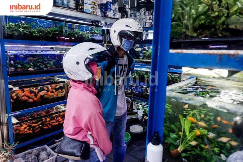 Melihat ikan-ikan berjalan sambil menghias dengan demikian mewahnya seperti aquascape mungkin bisa memberi hiburan tersendiri. (Inibaru.id/ Audrian F)<br>